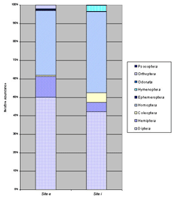 Relative abundance of insect orders at sites e and i